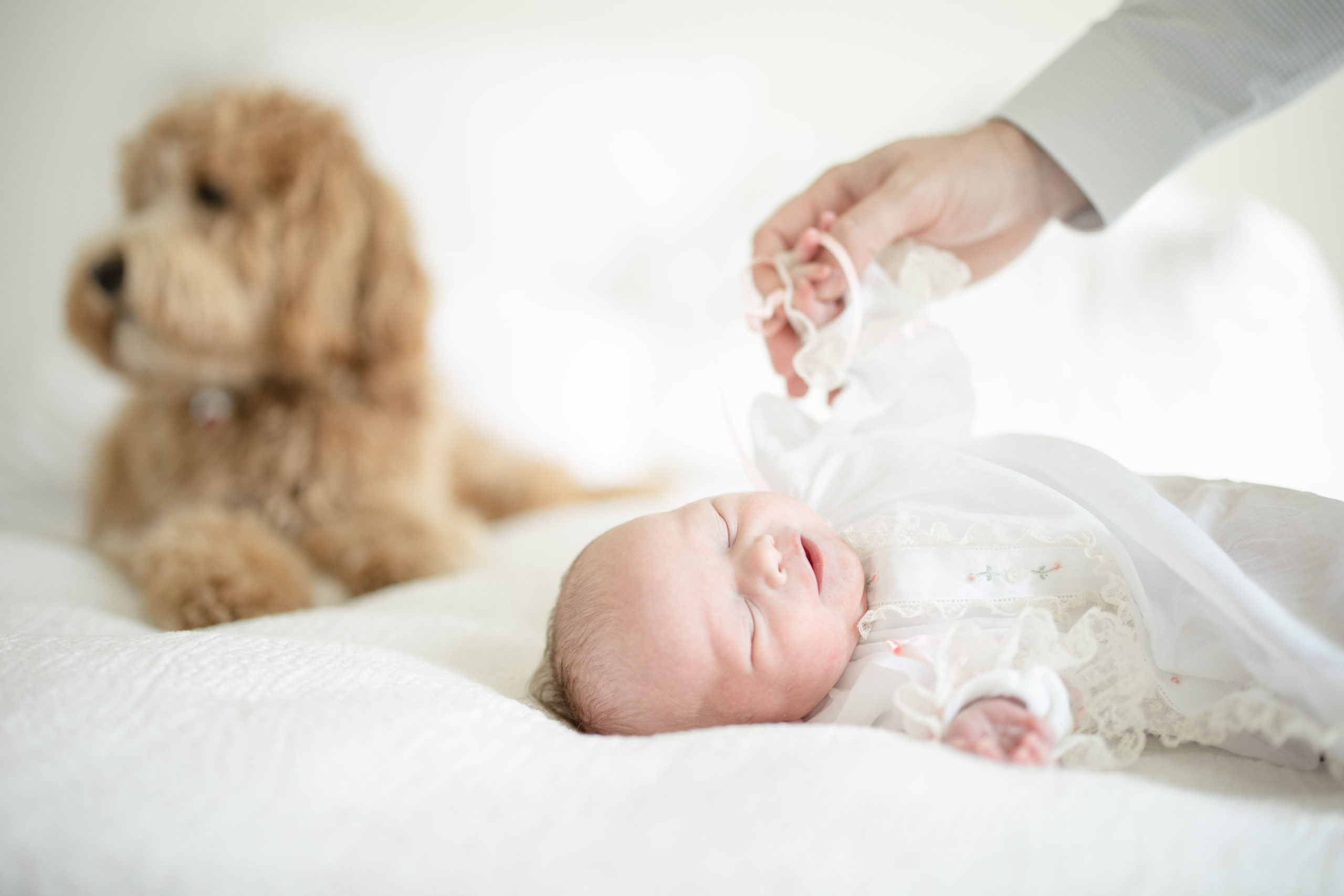 dad holding newborn girls hand in heirloom dress with their puppy in the background